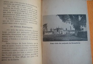 imagem_4