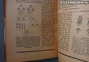 imagem_7
