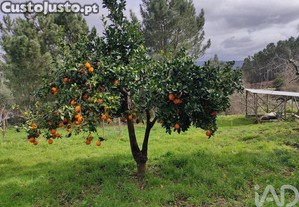 imagem_36