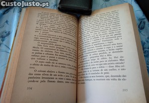 imagem_6