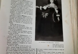 imagem_7