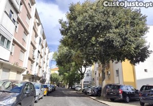 imagem_20