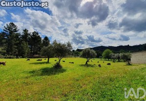 imagem_35