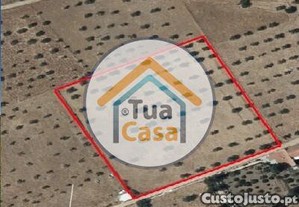 imagem_15