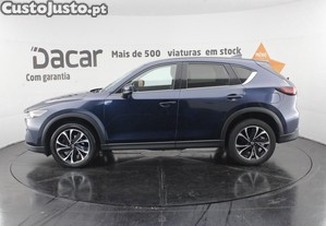 imagem_4