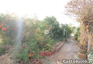 imagem_26