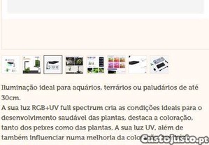 imagem_7