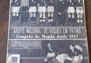 imagem_8