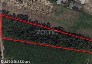 Terreno Na Torreira, Murtosa