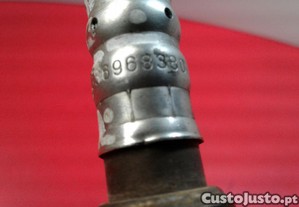 imagem_10