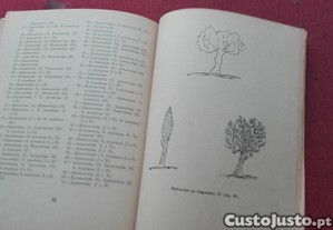 imagem_7