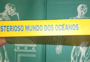 imagem_5