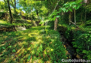 imagem_22