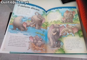 imagem_7