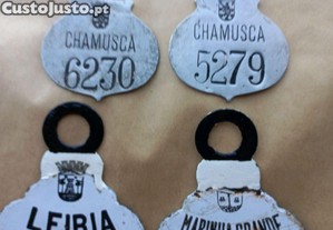 imagem_1