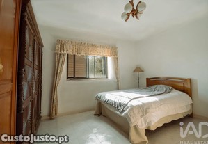 imagem_11