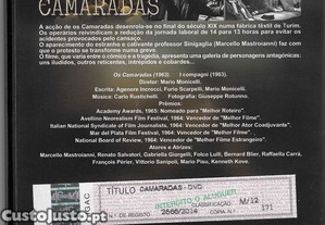 imagem_2
