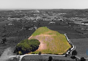 Terreno Agrícola em Évora