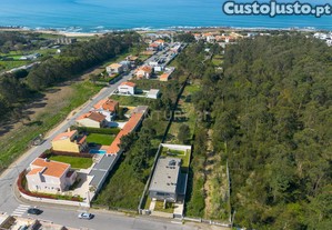 imagem_29