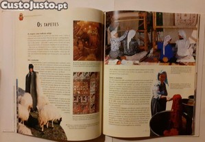 imagem_7
