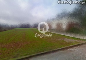 imagem_6