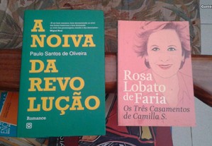 Obras de Paulo Santos de Oliveira e Rosa L.de Faria