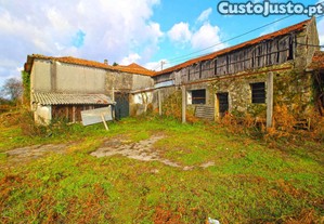 imagem_14