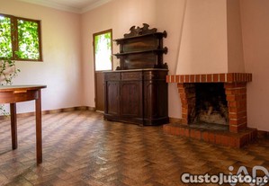 imagem_21