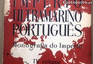imagem_7