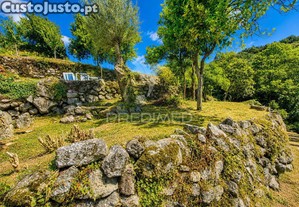 imagem_39