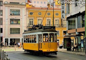 imagem_21