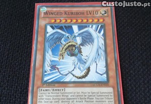 Yugioh Winged Kuriboh LV10