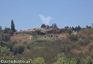 imagem_12