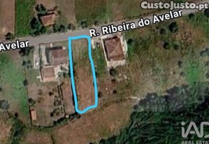 imagem_1