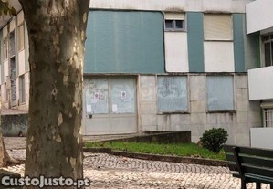 imagem_13