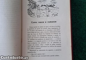 imagem_7