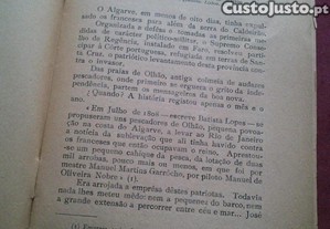 imagem_3