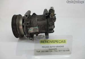 Compressor A/C Renault Clio Iii (Br0/1, Cr0/1)