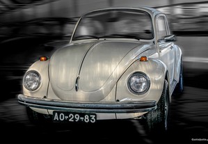 VW  1303