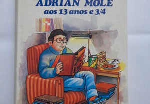 Livro - O diário secreto de Adrian Mole aos 13 ano
