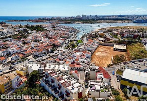 imagem_31