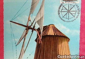 imagem_2