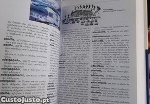 imagem_6