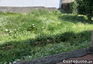 imagem_14
