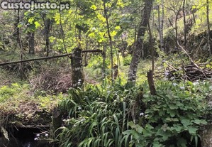 Terreno Rustico Em Vieira Do Minho
