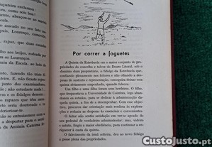 imagem_8
