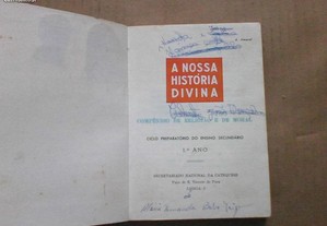 imagem_3