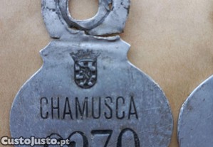 imagem_6