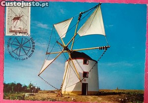 imagem_6