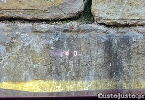 imagem_22